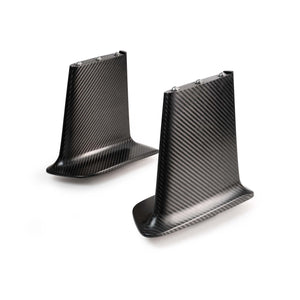 BNR34 GT-R ULTRA-100 DRY CARBON WING STANDS